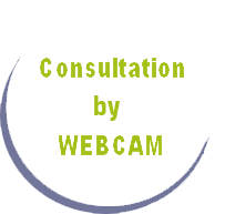 Consultation par webcam
